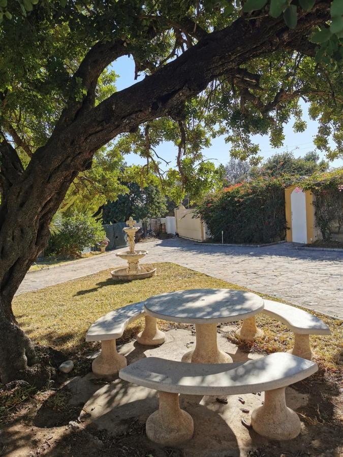 Villa Grande Piscine 5 Min De La Mer Malaga Zewnętrze zdjęcie